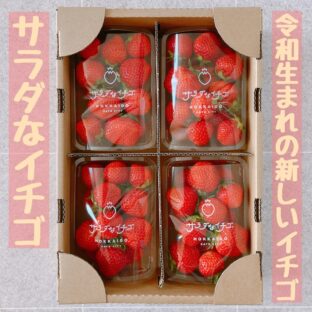農園直送◇サラダなイチゴ◇４パック