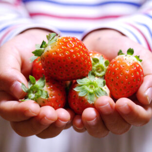 贈り物は「おすそ分け」から始まった？