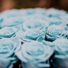 ホワイトデーのお返しは必須！？