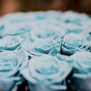 ホワイトデーのお返しは必須！？